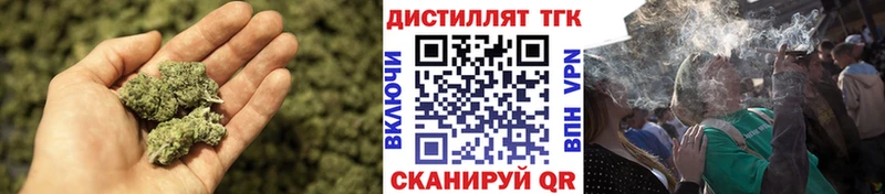 ТГК концентрат Реутов