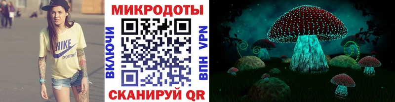 купить   Реутов  Псилоцибиновые грибы Psilocybe 